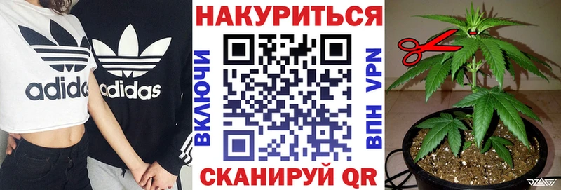 Хочу наркоту Кострома Кокаин  Псилоцибиновые грибы  Каннабис  ГАШИШ  Alpha PVP 