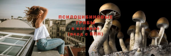 дмт Лихославль