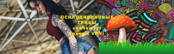дмт Лихославль