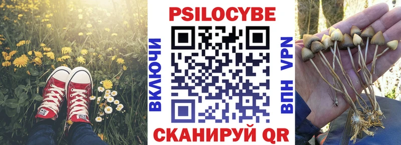 Галлюциногенные грибы мухоморы  МЕГА   Кострома 