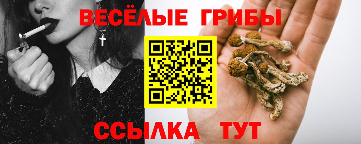 купить наркотик  Вход с VPN  Кострома  Псилоцибиновые грибы Cubensis  Галлюциногенные грибы Psilocybine cubensis 