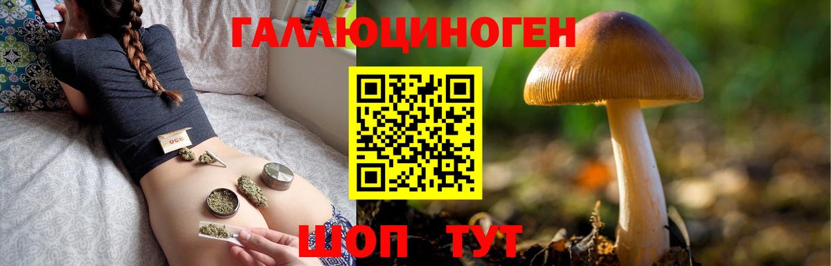Псилоцибиновые грибы MAGIC MUSHROOMS  Кострома  где найти   Псилоцибиновые грибы Cubensis 