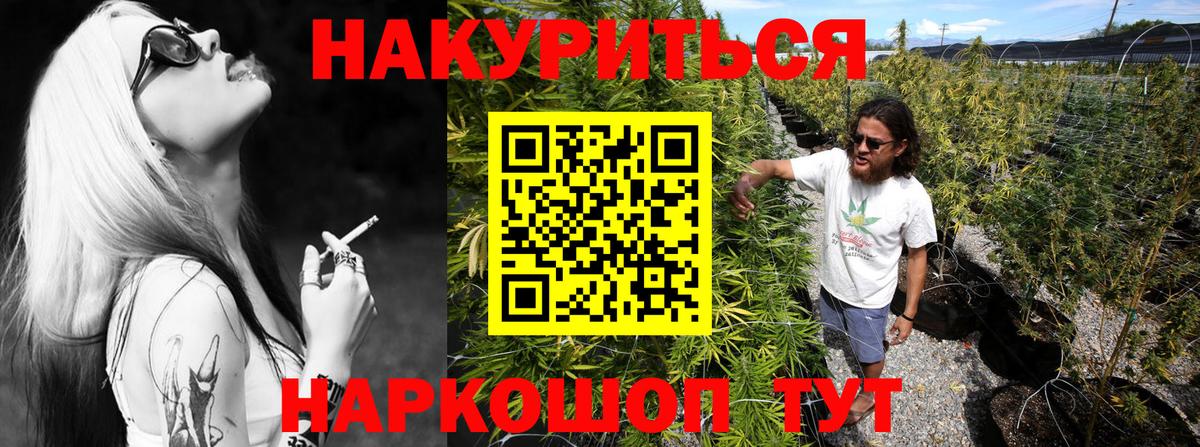Бошки Шишки семена  Вход с VPN  Кострома  Бошки Шишки планчик 